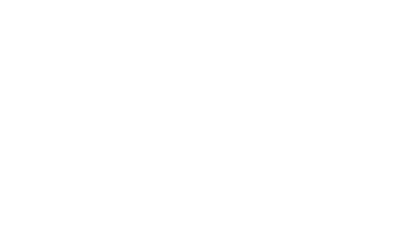 BDC-LARGE.png
